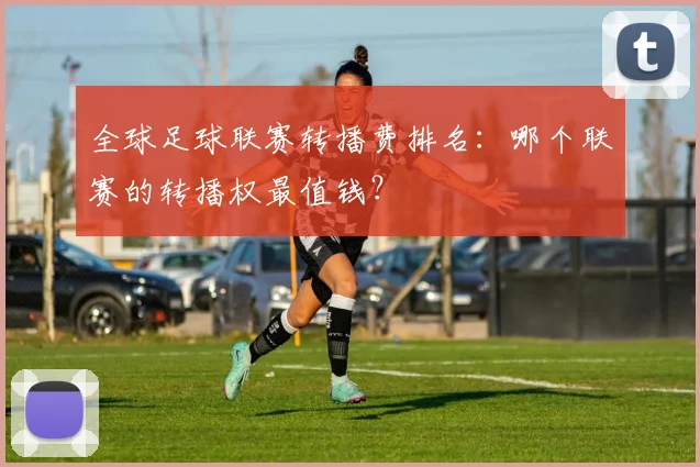 全球足球联赛转播费排名:哪个联赛的转播权最值钱?