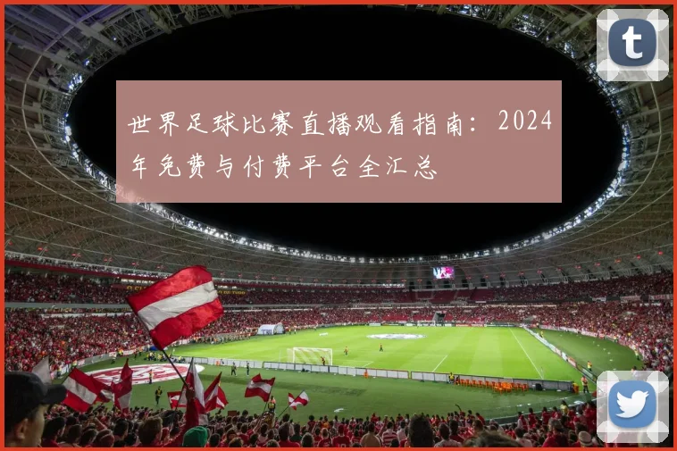 世界足球比赛直播观看指南:2024年免费与付费平台全汇总