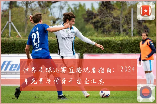 世界足球比赛直播观看指南:2024年免费与付费平台全汇总